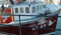 The Swan Dancer