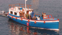 The Swordfish II