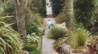 The famous view in Tresco Abbey Gardens
