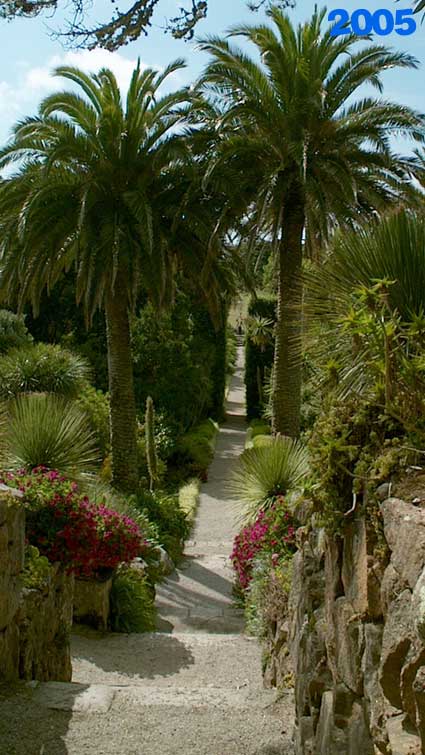 Tresco Garden view in 2005