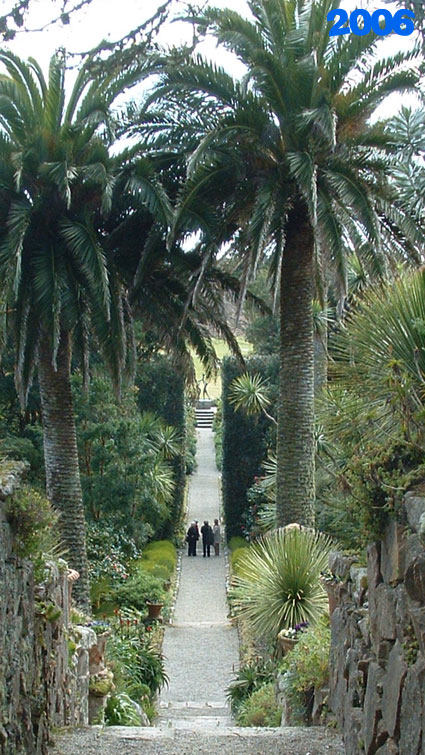 Tresco Garden view in 2006
