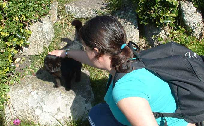 Sara stroking a cat